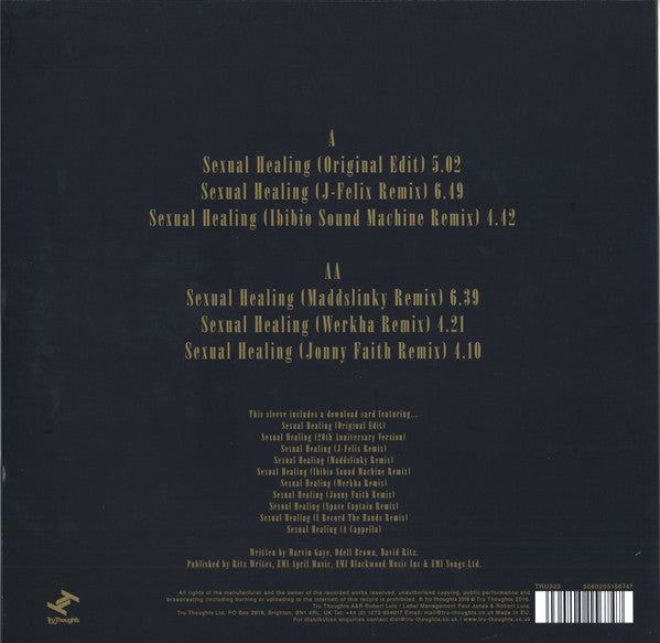 HOT 8 BRASS BAND / Sexual Healing ( Tru Thoughts – TRU323,12inch