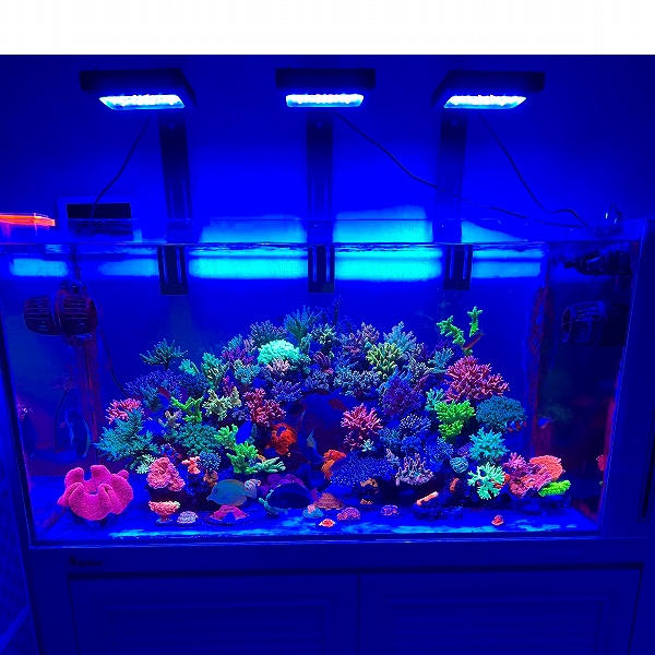 飼育用品・器具】【Chihiros】 Aquatic Studio NOVA 1 for サンゴ