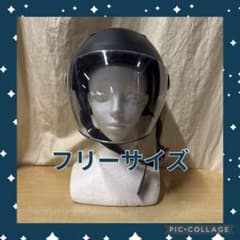 数量限定】スイカヘルメット フリーサイズ TL-02 リード工業 | Buyee