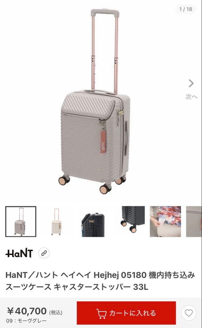 HaNT／ハント ヘイヘイ 05180 機内持ち込み スーツケース 33L HaNT 最大53% 3/1まで エース ハント ヘイヘイ スーツケース 機内